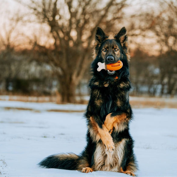 PetSafe Busy Buddy Chompin' Chicken Dog Chew Toy – Chicken Leg Shape, Small/Medium, Durable Design