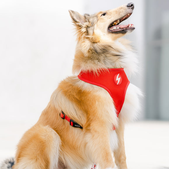 Dashi Tribes Neo Mesh Harness – Pressure-Free Double-Sided Neoprene, Brave Creature Pattern, XL Size