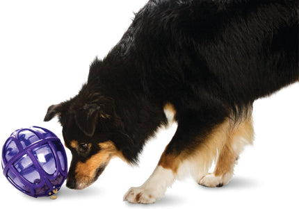PetSafe Busy Buddy Kibble Nibble Treat Toy – Small Egg-Shaped Durable Dispenser