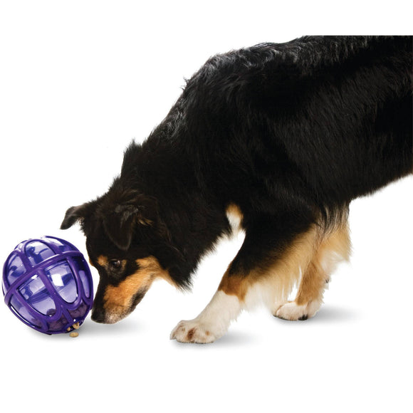PetSafe Busy Buddy Kibble Nibble Treat Toy – Small Egg-Shaped Durable Dispenser