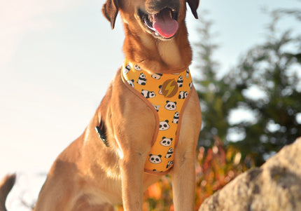 Dashi Snooze Neo Mesh Harness – Pressure-Free Double-Sided Neoprene, Panda Pattern, Small Size