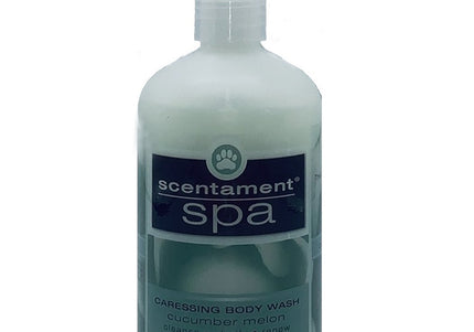 Best Shot Spa Caressing Cucumber Melon Body Wash – Concentrated Formula with Natural Extracts, Relaxing Scent