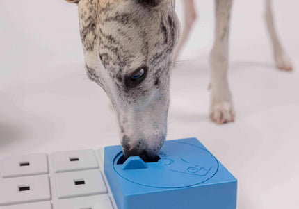 Oli's Pawzler Dog Puzzle Module – Level 1 Bonus Block, Durable Interactive Enrichment Toy