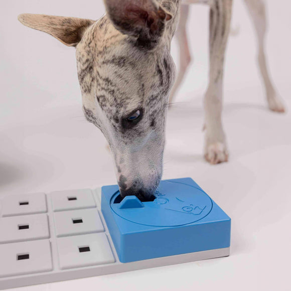 Oli's Pawzler Dog Puzzle Module – Level 1 Bonus Block, Durable Interactive Enrichment Toy