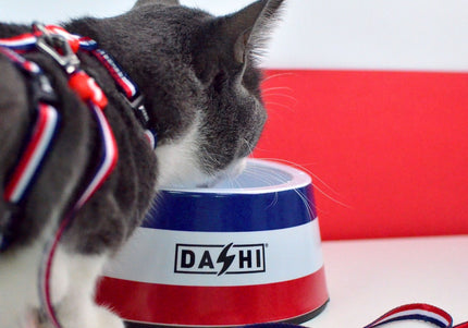 Dashi Stripes Cat Harness and Leash Set – Red and Blue, Comfortable Adjustable Design