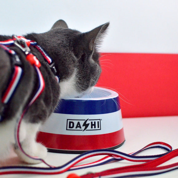 Dashi Stripes Cat Harness and Leash Set – Red and Blue, Comfortable Adjustable Design