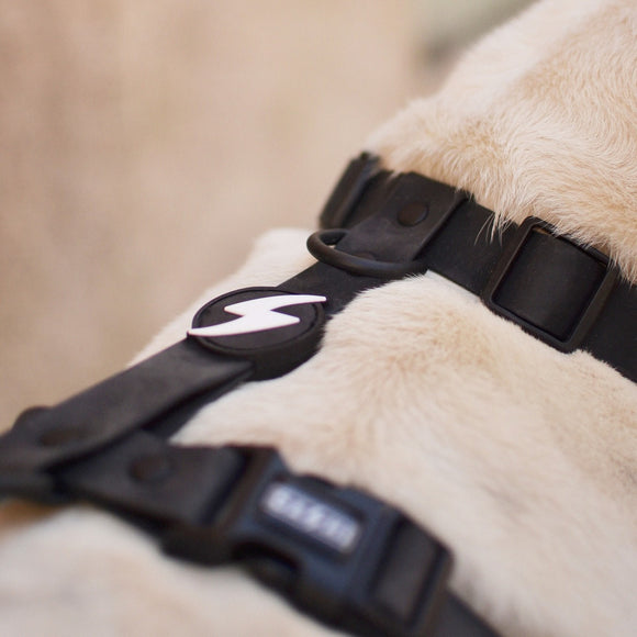 Dashi Colorflex Back Harness Black – Adjustable Waterproof Guard Harness, Large Size, Durable Design