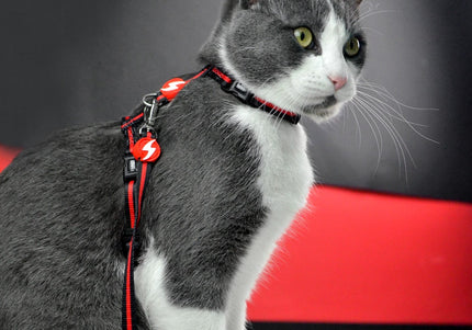 Dashi Stripes Red & Black Cat Harness and Leash Set – Adjustable, Comfortable Design