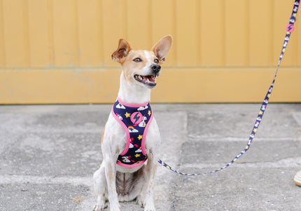 Dashi Unicorn Neo Mesh Harness – Double-Sided Neoprene, Pressure-Free Design, Unicorn Pattern, Small Size
