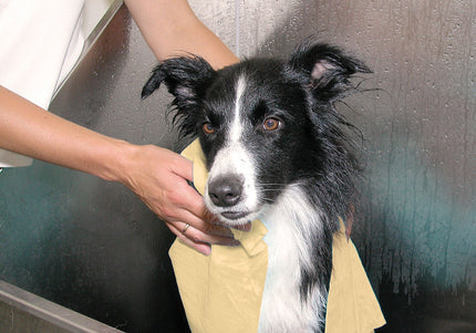 Show Tech Magic Towel 66x43cm – Super Absorbent Foam Drying Cloth, Quick-Dry Design