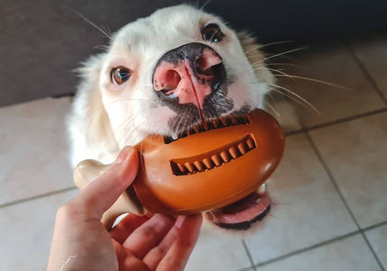 PetSafe Busy Buddy Chompin' Chicken Dog Chew Toy – Chicken Leg Shape, Small/Medium, Durable Design