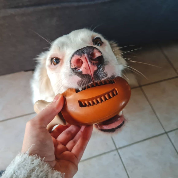 PetSafe Busy Buddy Chompin' Chicken Dog Chew Toy – Chicken Leg Shape, Small/Medium, Durable Design