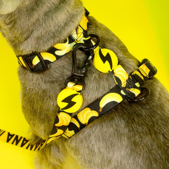 Dashi Eco Banana Back Harness – Adjustable Recycled Dog Harness with Banana Pattern, Small Size