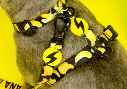 Dashi Eco Banana Back Harness – Adjustable Recycled Dog Harness with Banana Pattern, Small Size