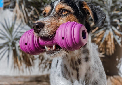 PetSafe Busy Buddy Chuckle Dumbbell Chew Toy – Durable Interactive Design, Entertaining Shape