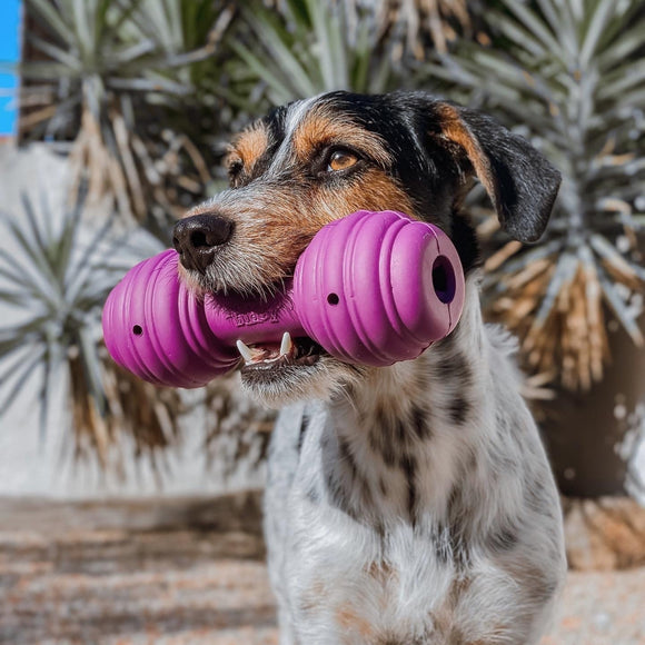 PetSafe Busy Buddy Chuckle Dumbbell Chew Toy – Durable Interactive Design, Entertaining Shape