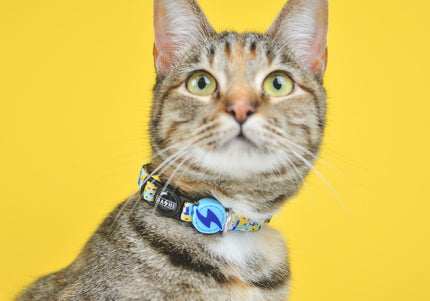 Dashi Nebula Cat Collar – Blue and Yellow Abstract Pattern, Adjustable and Lightweight