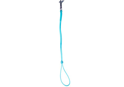 Jelly Pet Heavy Duty Grooming Loop Leash Professional Grooming Accessory