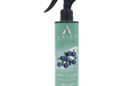 Aries Dry Clean Mirtillo Dry Shampoo Spray with Blueberry Notes - 250 ml