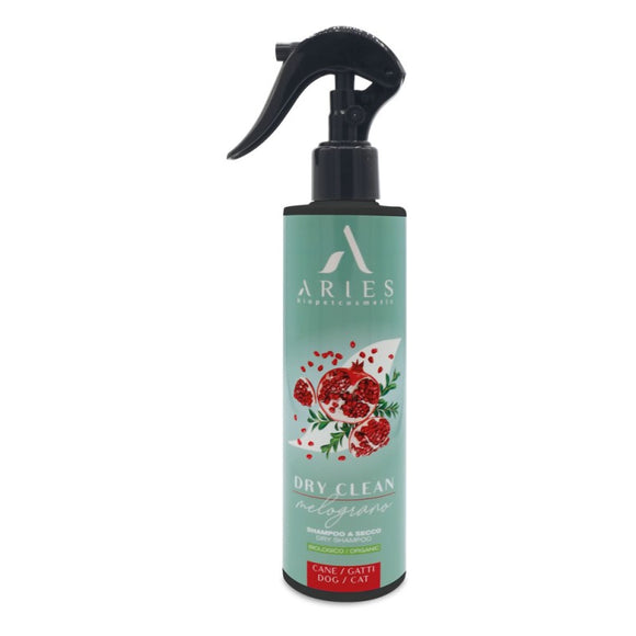 Aries Dry Clean Melograno Pomegranate Dry Shampoo Spray - 250 ml