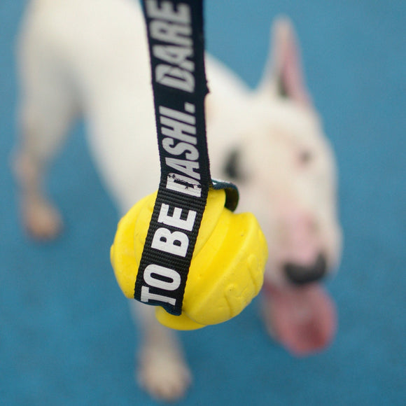 Dashi Yellow TPR Tug Ball 8cm – Solid Durable Play Toy with Tape Handle