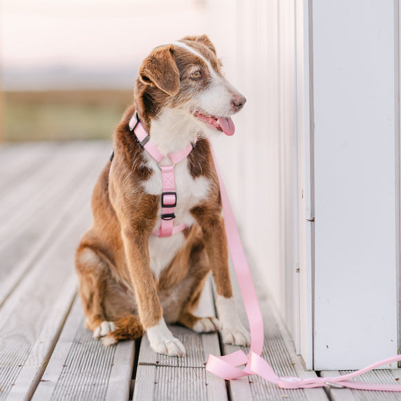 Dashi Solid Back Harness Baby Pink – Adjustable Lightweight Guard Harness, XS Size
