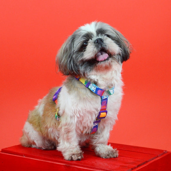 Dashi Betty You Back Harness – Adjustable Guard Dog Harness with Betty Boop Pattern, Large Size