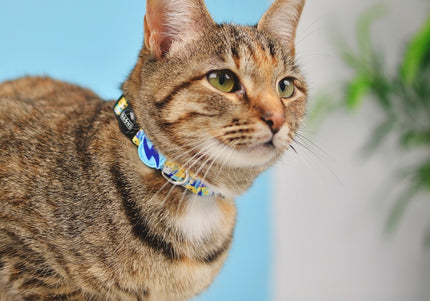 Dashi Nebula Cat Collar – Blue and Yellow Abstract Pattern, Adjustable and Lightweight