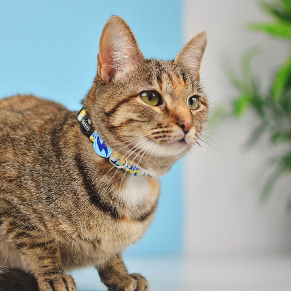 Dashi Nebula Cat Collar – Blue and Yellow Abstract Pattern, Adjustable and Lightweight