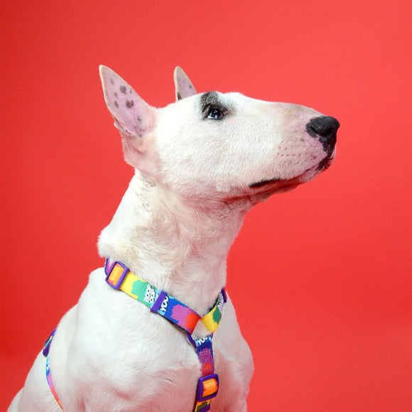 Dashi Betty You Back Harness – Adjustable Guard Dog Harness with Betty Boop Pattern, Large Size