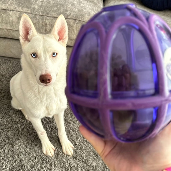 PetSafe Busy Buddy Kibble Nibble Treat Toy – Small Egg-Shaped Durable Dispenser