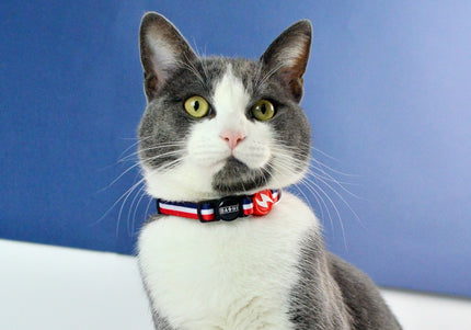 Dashi Stripes Red & Blue Cat Collar – Adjustable Nylon, Stylish Dual-Color Design