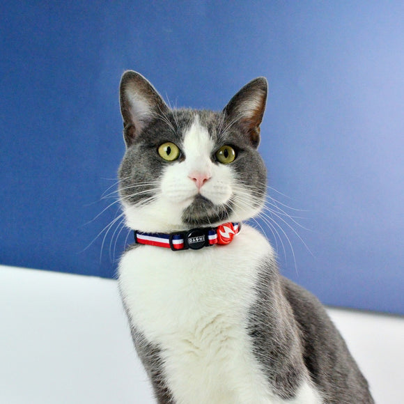Dashi Stripes Red & Blue Cat Collar – Adjustable Nylon, Stylish Dual-Color Design