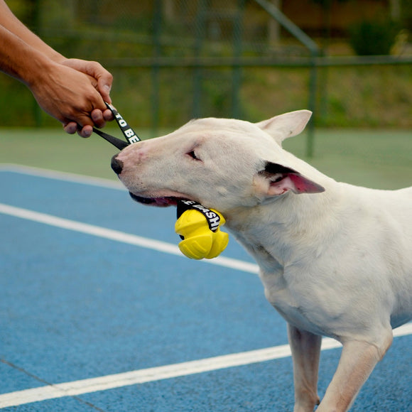 Dashi Yellow TPR Tug Ball 8cm – Solid Durable Play Toy with Tape Handle