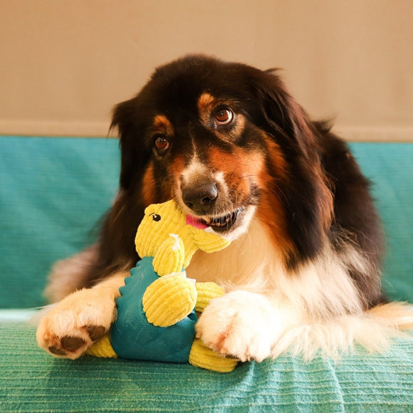 Dashi Rexi Dino Toy – Green Dinosaur-Shaped Treat Slot Toy, Durable Chew Design