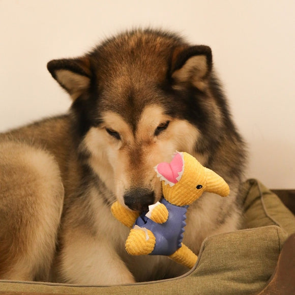 Dashi Parry Dino Toy – Dinosaur-Shaped Treat Slot Toy, Blue and Yellow, Durable Design