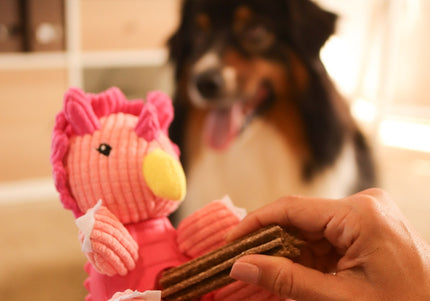 Dashi Trici Dino Toy – Pink Dinosaur Chew Toy with Treat Slot, Durable Design