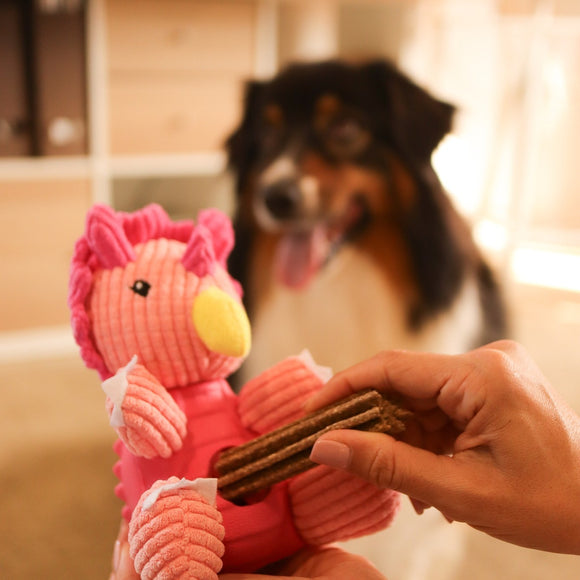 Dashi Trici Dino Toy – Pink Dinosaur Chew Toy with Treat Slot, Durable Design