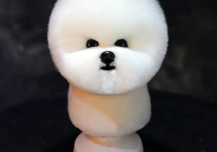 Mr. Jiang Bichon Head Hair – Soft Replacement Fiber for Grooming Practice Head