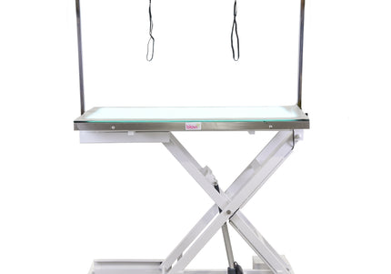 Blovi Luminous Grooming Table 120x65cm – Electric Lift, LED Glass Top, Professional Design