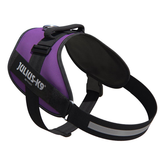Julius-K9 IDC Powerharness Dark Purple – Premium Adjustable Dog Harness, Baby 1 Size