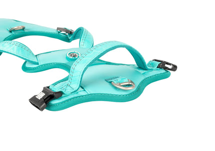 Max&Molly Matrix 2.0 Sport Harness – Adjustable Turquoise Dog Harness with QR ID, Medium