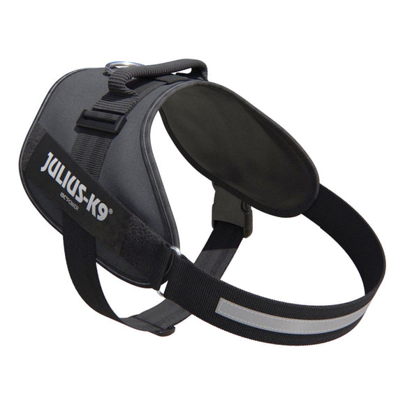 Julius-K9 IDC Powerharness Gray – Premium Adjustable Harness, Mini-Mini Size, Durable Design
