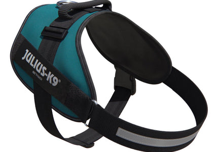 Julius-K9 IDC Powerharness Petrol Green – Top Quality Sea Green Harness, Size 4