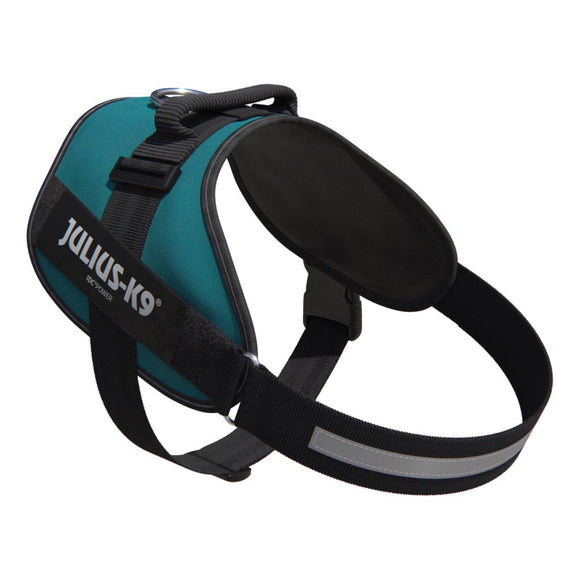 Julius-K9 IDC Powerharness Petrol Green – Top Quality Sea Green Harness, Size 4