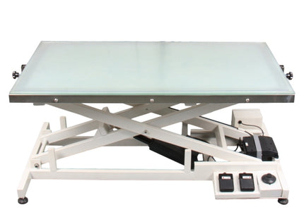 Blovi Luminous Grooming Table 120x65cm – Electric Lift, LED Glass Top, Professional Design