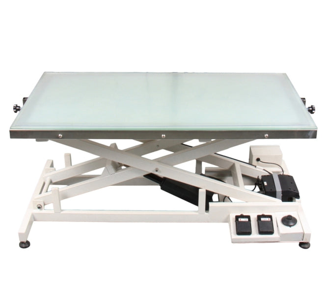 Blovi Luminous Grooming Table 120x65cm – Electric Lift, LED Glass Top, Professional Design