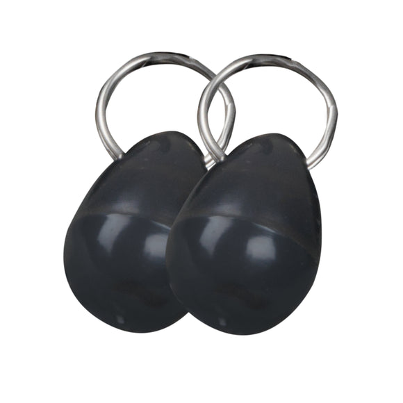 PetSafe Magnetic Collar Key – Secure Magnetic Pendant Accessory, 2 Pack