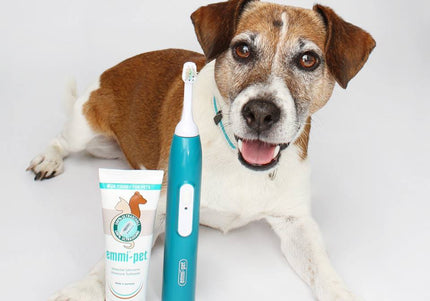 Emmi-Pet Basic Ultrasonic Toothbrush Set – Gentle Dental Care with Advanced Cleaning Technology