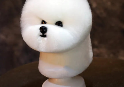 Mr. Jiang Bichon Model Dog Head – Realistic Grooming Mannequin Bust, Durable Construction